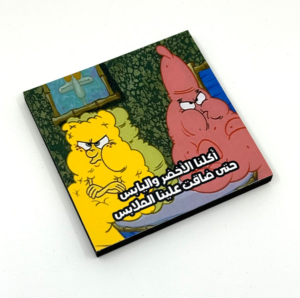 Magnet - sponge and Patric
